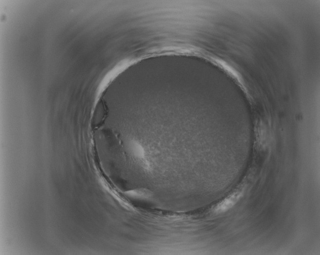 X0000062881373200601201809