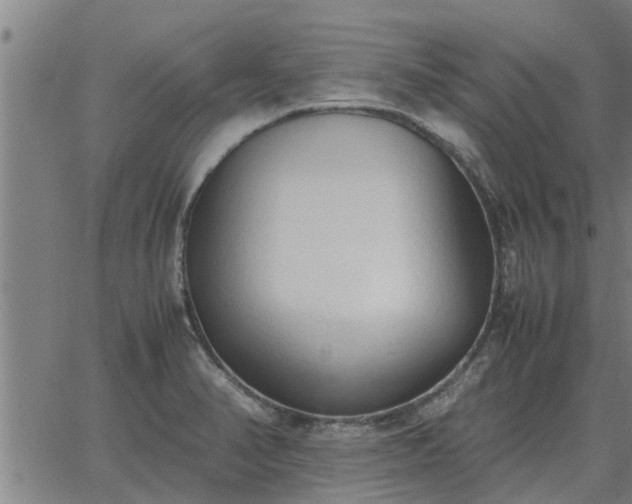 X0000062881374200601201809