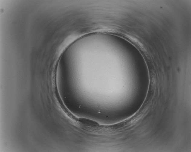 X0000062881375200601201809