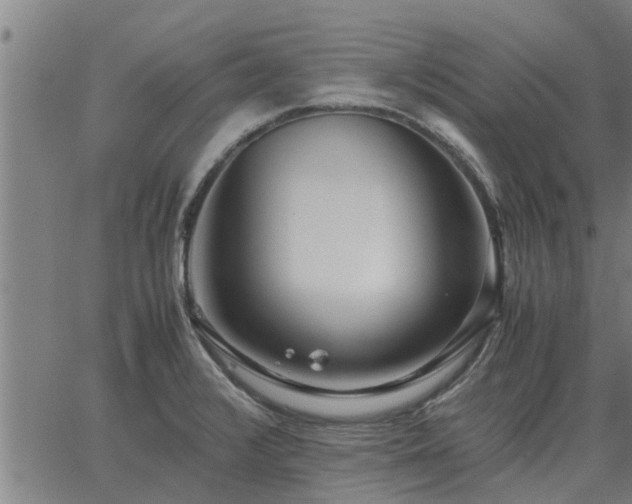 X0000062881376200601201809