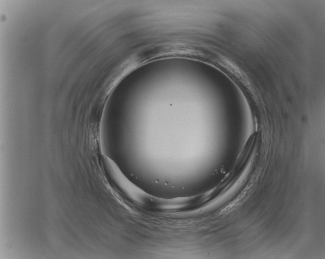 X0000062881377200601201809