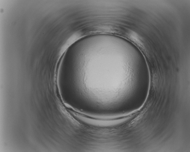 X0000062881378200601201809