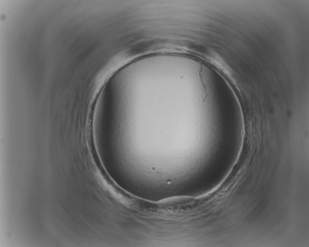 X0000062881379200601201809