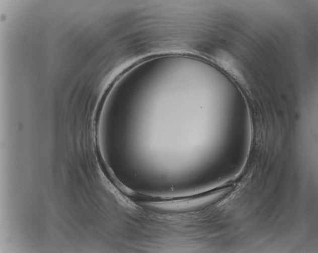 X0000062881380200601201809