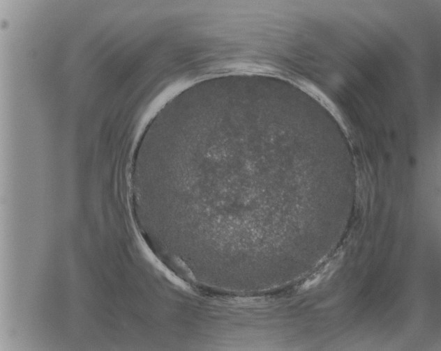 X0000062881381200601201809