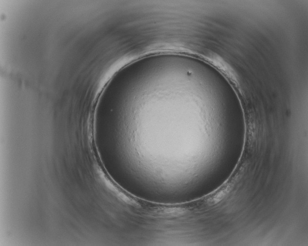 X0000062881382200601201809