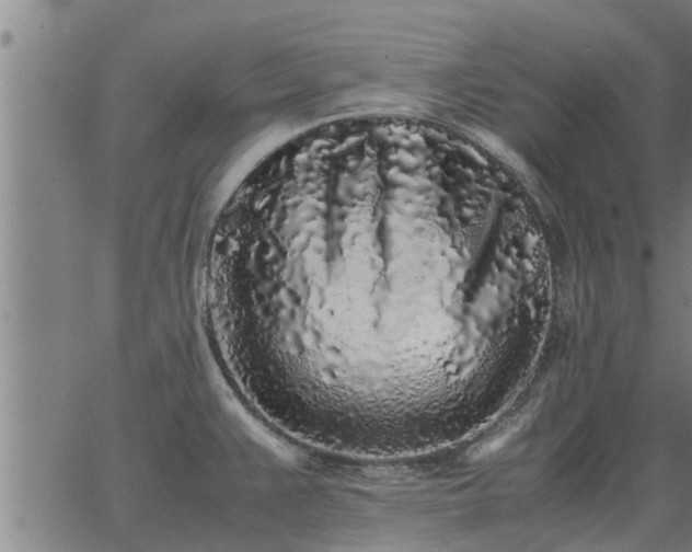 X0000062881383200601201808