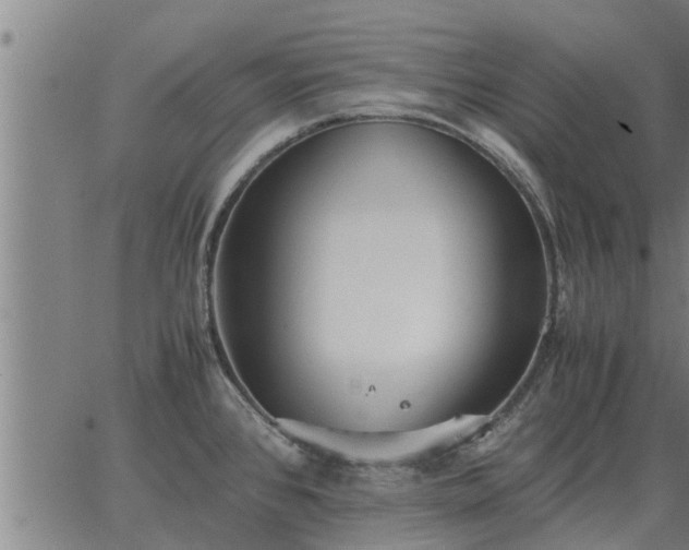 X0000062881384200601201808