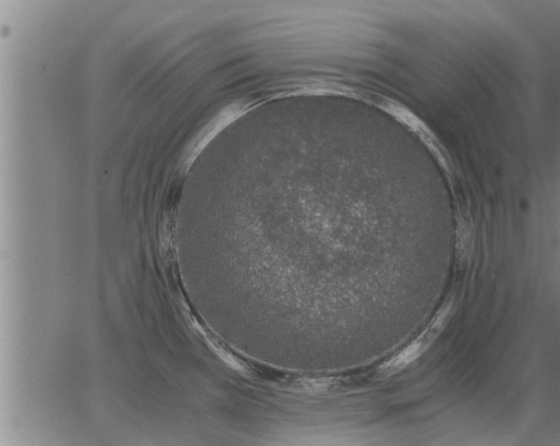 X0000062881385200601201808