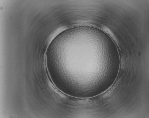 X0000062881386200601201808