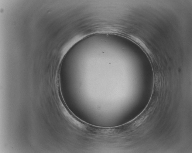 X0000062881387200601201808