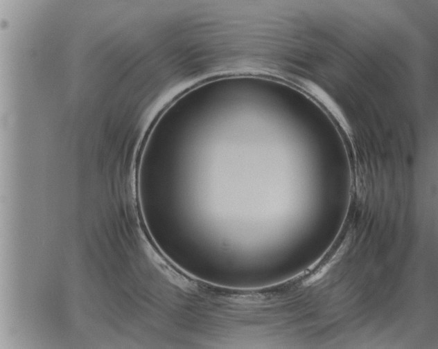 X0000062881388200601201808