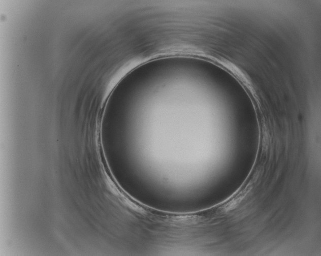 X0000062881390200601201808