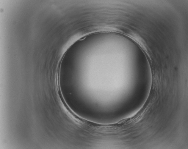 X0000062881391200601201808