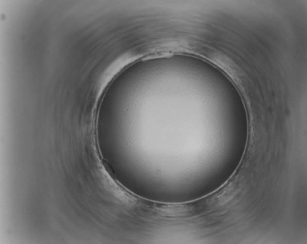 X0000062881392200601201808