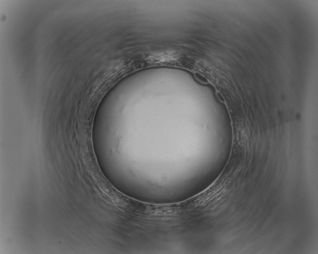 X0000062881393200601201808