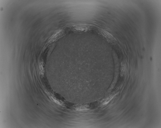 X0000062881394200601201808