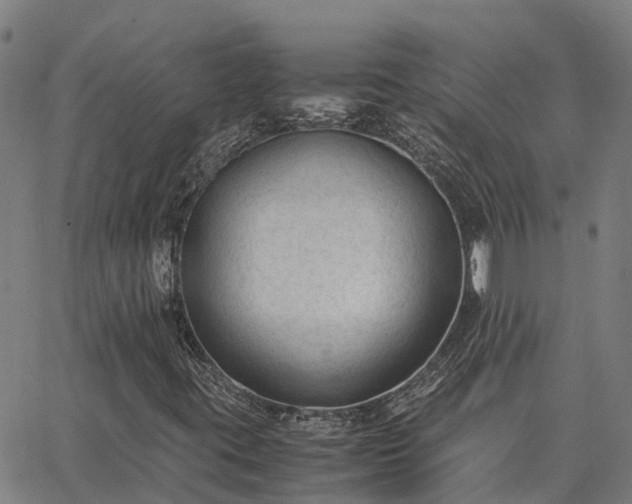 X0000062881395200601201808