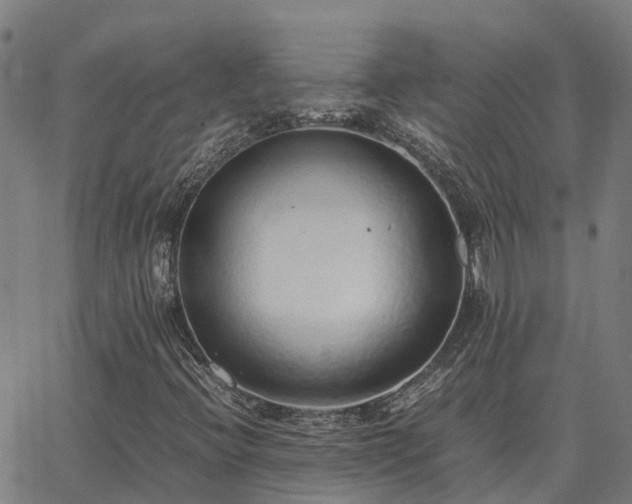 X0000062881396200601201808