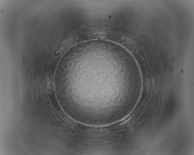 X0000062881397200601201808