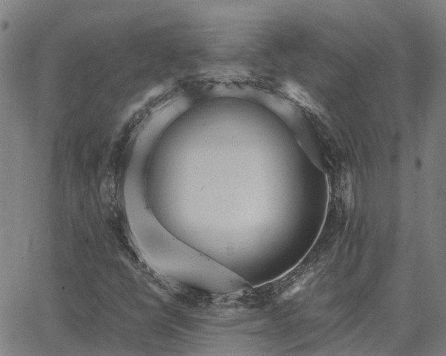 X0000062881398200601201808