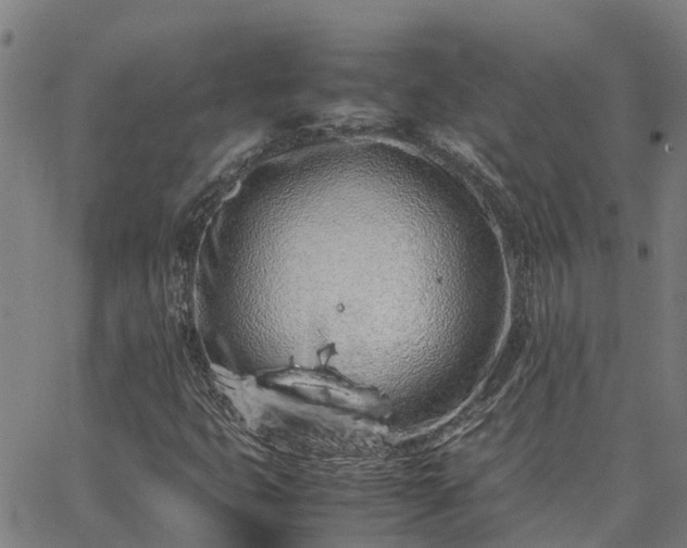 X0000062881399200601201808