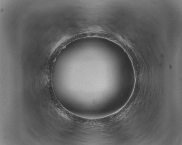 X0000062881400200601201808