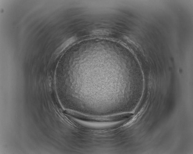 X0000062881401200601201808