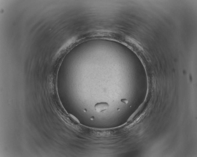 X0000062881403200601201808