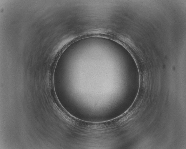 X0000062881404200601201808