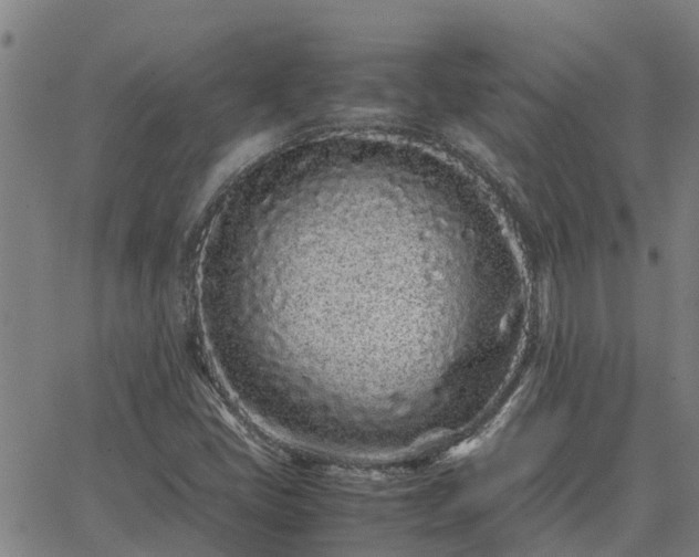 X0000062881405200601201808