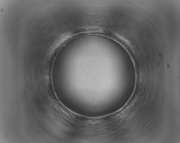 X0000062881407200601201808