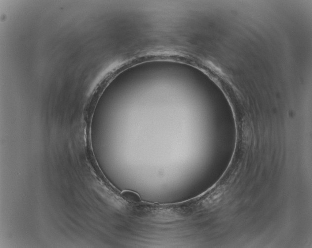 X0000062881408200601201808