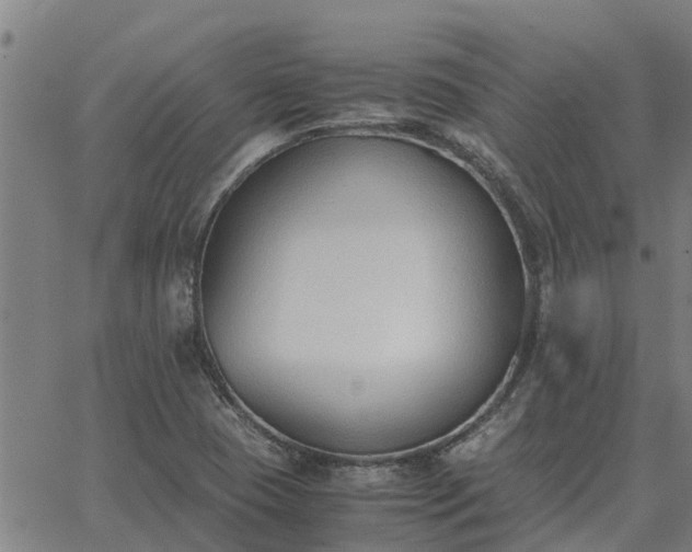 X0000062881409200601201808