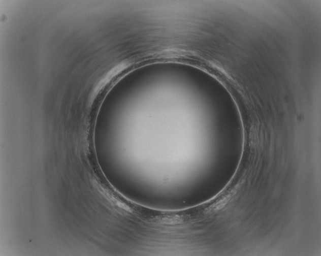 X0000062881410200601201808