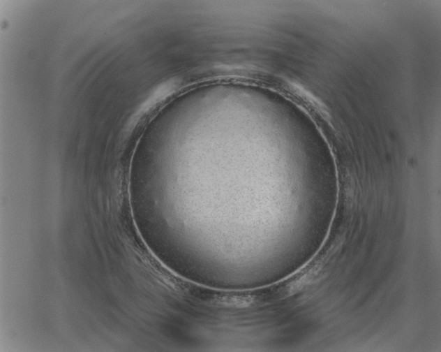 X0000062881411200601201808