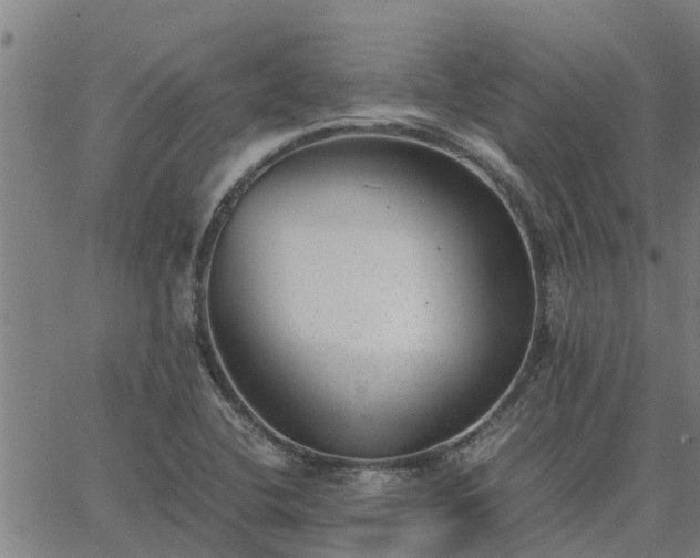 X0000062881412200601201808