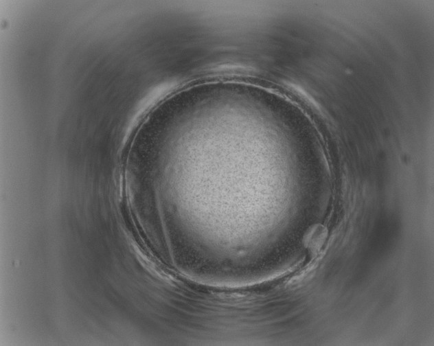 X0000062881413200601201808