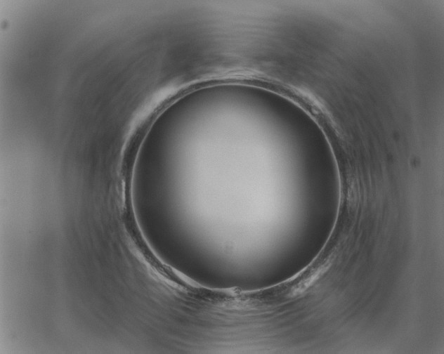 X0000062881414200601201808