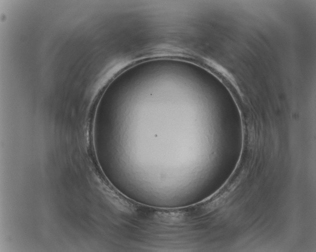 X0000062881415200601201808