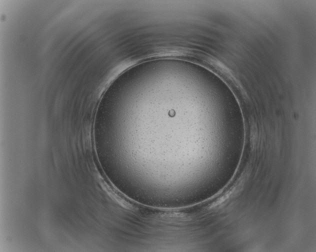 X0000062881417200601201808