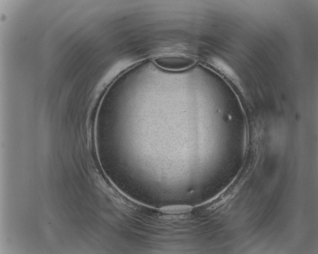 X0000062881419200601201808