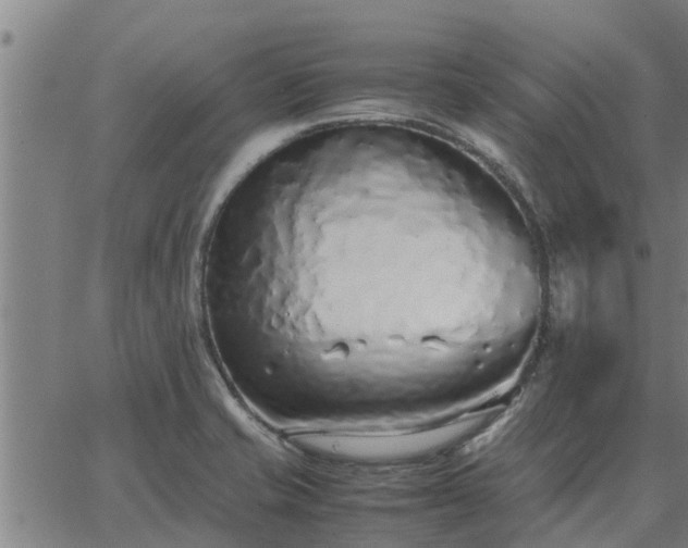 X0000062881421200601201808