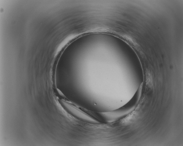 X0000062881422200601201808