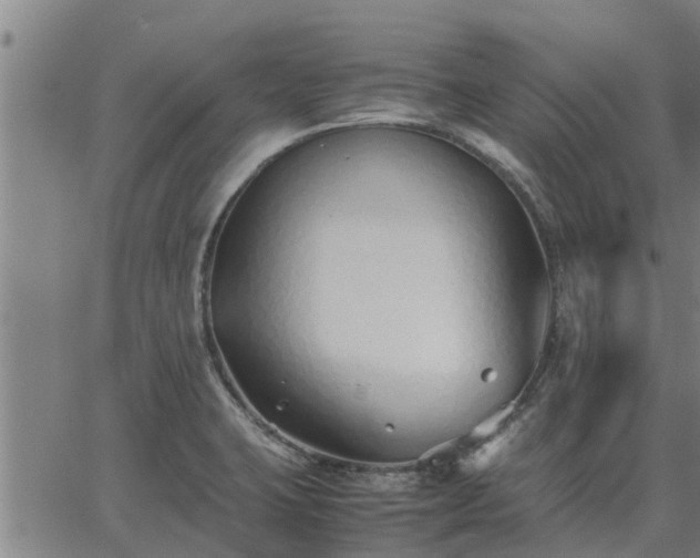 X0000062881423200601201808