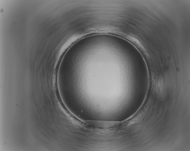 X0000062881424200601201808