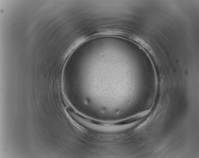 X0000062881425200601201808