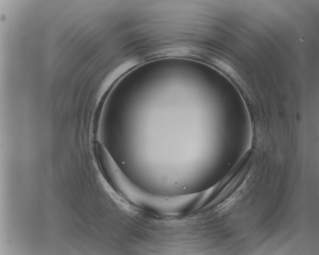 X0000062881426200601201808