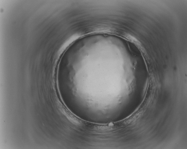 X0000062881427200601201808