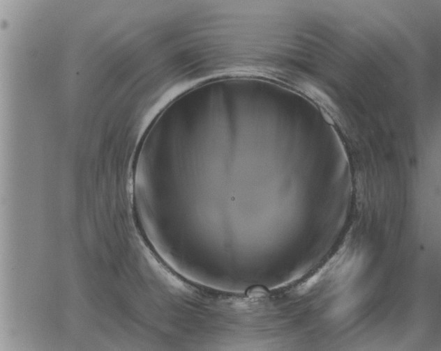 X0000062881428200601201808